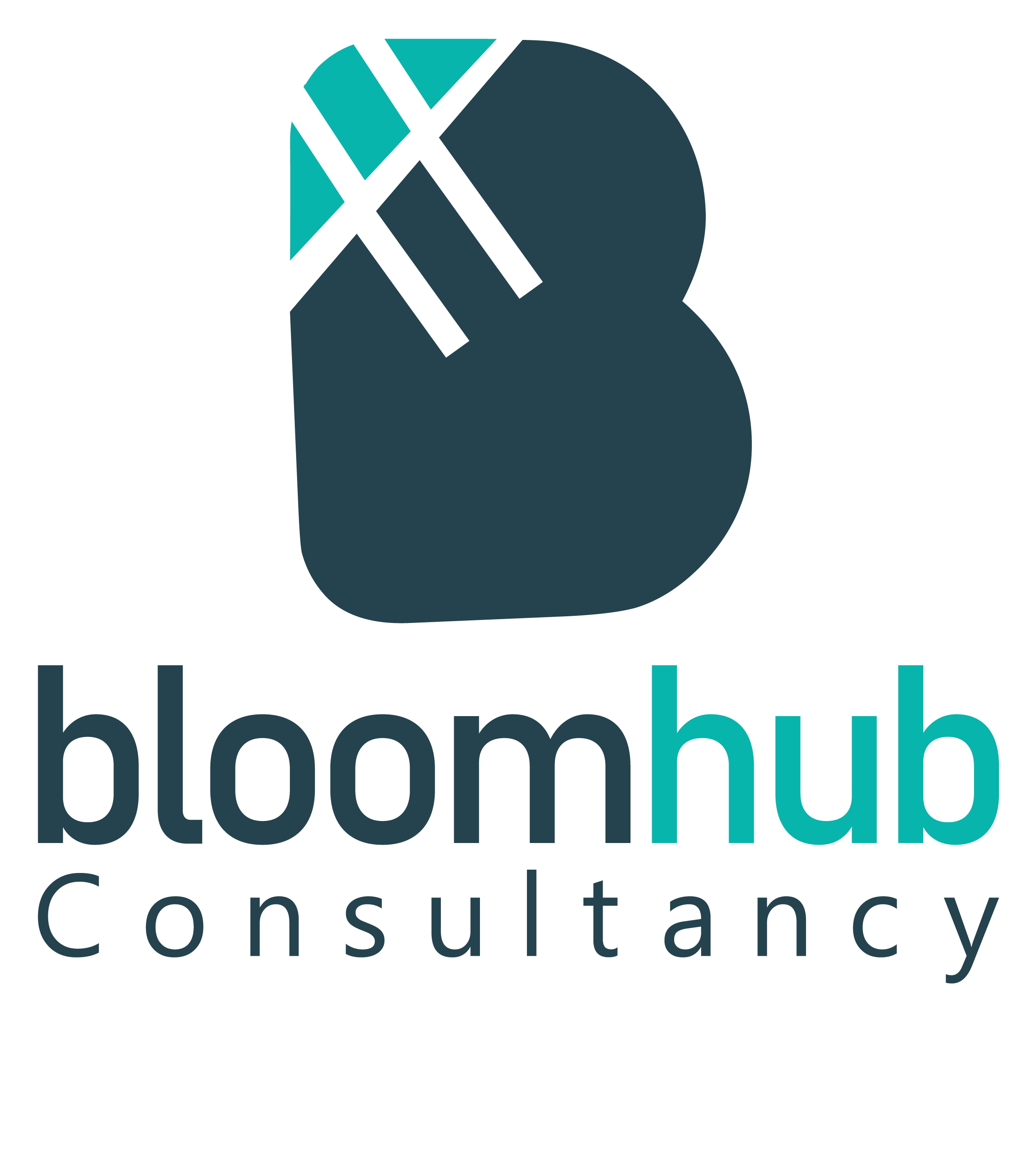 Bloomhub Consultancy